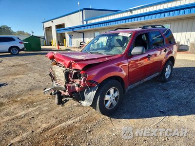 2009 FORD ESCAPE XLT 1FMCU93G09KA56841 - główne zdjęcie licytacji z USA - miniatura