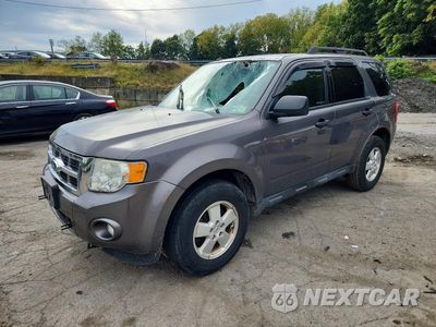 2012 FORD ESCAPE XLT 1FMCU0D74CKB56796 - główne zdjęcie licytacji z USA - miniatura