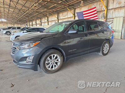 2019 CHEVROLET EQUINOX LS 2GNAXHEVXK6116374 - główne zdjęcie licytacji z USA - miniatura