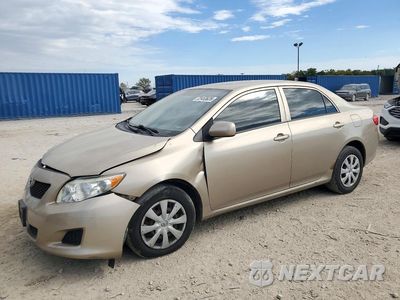 2009 TOYOTA COROLLA LE 1NXBU40E19Z050035 - główne zdjęcie licytacji z USA - miniatura