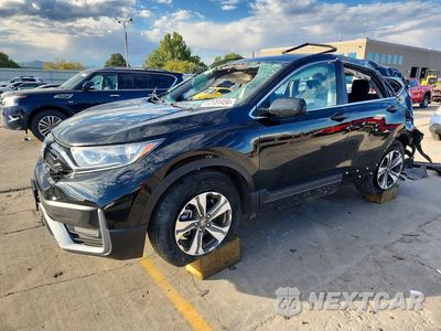 2021 HONDA CR-V LX 2HKRW2H21MH623577 - główne zdjęcie licytacji z USA - miniatura