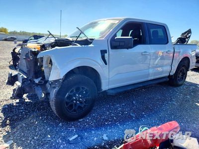 2024 FORD F150 XLT 1FTEW3LP7RKD71608 - główne zdjęcie licytacji z USA - miniatura