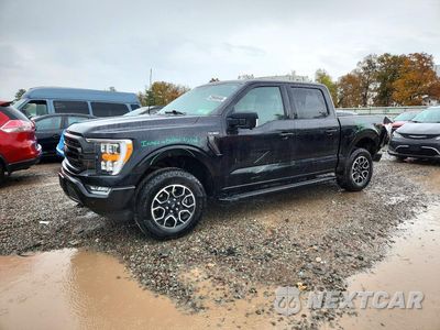 2023 FORD F150 SUPERCREW 1FTEW1EP6PKF27779 - główne zdjęcie licytacji z USA - miniatura