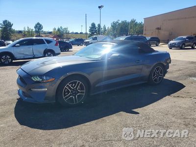 2019 FORD MUSTANG 1FATP8UH4K5184409 - główne zdjęcie licytacji z USA - miniatura