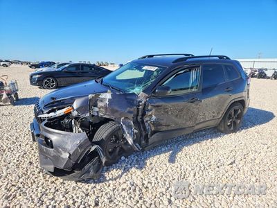 2017 JEEP CHEROKEE SPORT 1C4PJLASXHW623289 - główne zdjęcie licytacji z USA - miniatura