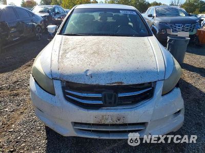 Piąte zdjęcie samochodu w środku: 2010 HONDA ACCORD EXL VIN:5KBCP3F83AB002773 - miniatura