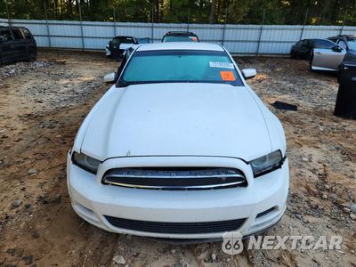 Piąte zdjęcie samochodu w środku: 2013 FORD MUSTANG VIN:1ZVBP8AM7D5230189 - miniatura
