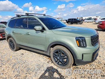Czwarte zdjęcie samochodu z boku: 2025 KIA TELLURIDE SX X-LINE VIN:5XYP5DGC2SG639193 - miniatura