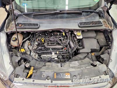 Zdjęcie 12 z 13 samochodu: 2019 FORD ESCAPE SE VIN:1FMCU9GD6KUB41760 - miniatura