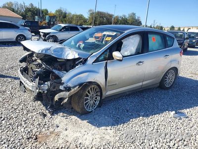 2015 FORD C-MAX SEL 1FADP5BU4FL124344 - główne zdjęcie licytacji z USA - miniatura