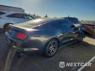 Trzecie zdjęcie samochodu z tyłu: 2017 FORD MUSTANG VIN:1FA6P8TH6H5330932 - miniatura