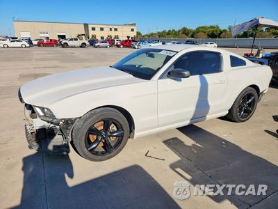 2013 FORD MUSTANG 1ZVBP8AM7D5268389 - główne zdjęcie licytacji z USA - miniatura