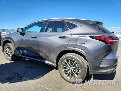 Drugie zdjęcie samochodu z przodu: 2026 LEXUS NX 350H PREMIUM VIN:JTJGKCEZ6T5041285 - miniatura