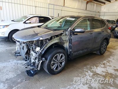 2022 HONDA CR-V EX 5J6RT6H52NL031025 - główne zdjęcie licytacji z USA - miniatura