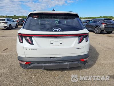 Zdjęcie 6 z 13 samochodu: 2024 HYUNDAI TUCSON LIMITED VIN:KM8JECD18RU189346 - miniatura
