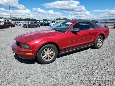 2008 FORD MUSTANG 1ZVHT84N385186000 - główne zdjęcie licytacji z USA - miniatura