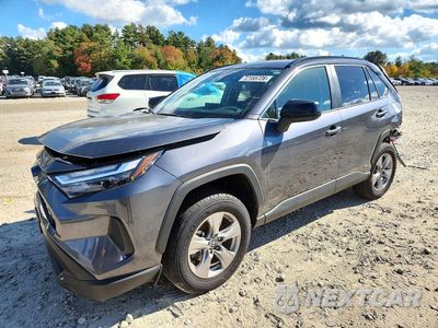 2025 TOYOTA RAV4 LE 4T3LWRFV0SU181831 - główne zdjęcie licytacji z USA - miniatura