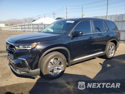 2024 HONDA PILOT EXL 5FNYG2H45RB007025 - główne zdjęcie licytacji z USA - miniatura