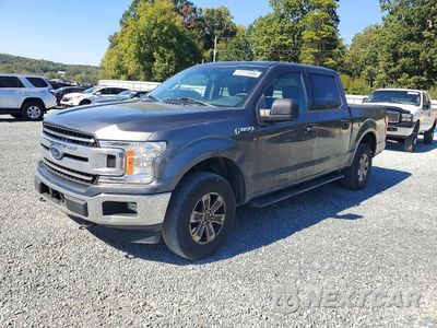 2020 FORD F150 SUPERCREW 1FTEW1EB1LKD40786 - główne zdjęcie licytacji z USA - miniatura