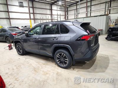 Drugie zdjęcie samochodu z przodu: 2019 TOYOTA RAV4 LE VIN:2T3F1RFV3KC051443 - miniatura