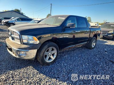 2010 DODGE RAM 1500 1D7RV1CT0AS108456 - główne zdjęcie licytacji z USA - miniatura