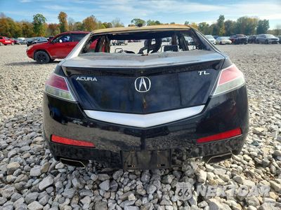 Zdjęcie 6 z 11 samochodu: 2009 ACURA TL VIN:19UUA86539A003998 - miniatura