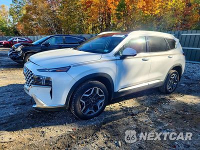 2023 HYUNDAI SANTA FE LIMITED 5NMS4DAL1PH630147 - główne zdjęcie licytacji z USA - miniatura
