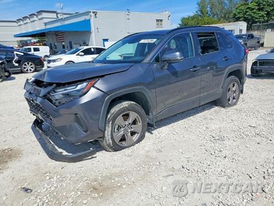 2024 TOYOTA RAV4 XLE 2T3W1RFV1RC262909 - główne zdjęcie licytacji z USA - miniatura