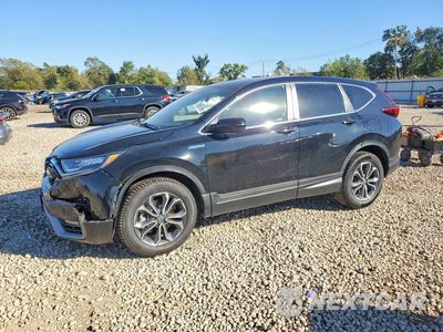 2022 HONDA CR-V EX 5J6RT6H54NL053222 - główne zdjęcie licytacji z USA - miniatura