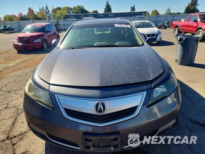 Piąte zdjęcie samochodu w środku: 2013 ACURA TL TECH VIN:19UUA8F51DA012062 - miniatura