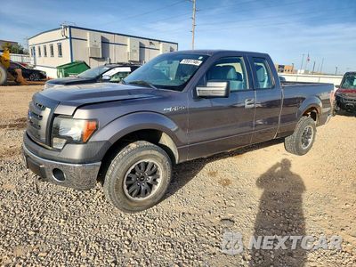 2011 FORD F150 SUPER CAB 1FTFX1EF2BFC28512 - główne zdjęcie licytacji z USA - miniatura