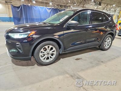 2024 FORD ESCAPE ACTIVE 1FMCU0GN3RUA84464 - główne zdjęcie licytacji z USA - miniatura