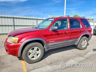 2006 FORD ESCAPE HEV 1FMCU96H46KA20554 - główne zdjęcie licytacji z USA - miniatura