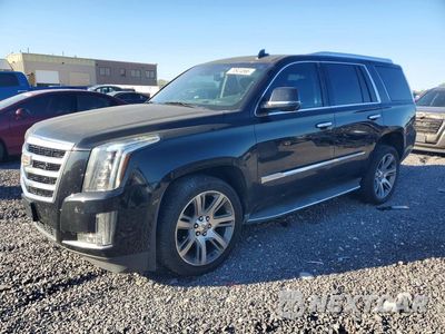 2016 CADILLAC ESCALADE LUXURY 1GYS4BKJ8GR121891 - główne zdjęcie licytacji z USA - miniatura