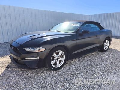 2019 FORD MUSTANG 1FATP8UH0K5101882 - główne zdjęcie licytacji z USA - miniatura