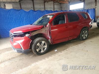 2025 HONDA PILOT EXL 5FNYG1H43SB069507 - główne zdjęcie licytacji z USA - miniatura