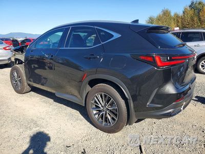 Drugie zdjęcie samochodu z przodu: 2025 LEXUS NX 350H PREMIUM VIN:2T2GKCEZ3SC043852 - miniatura
