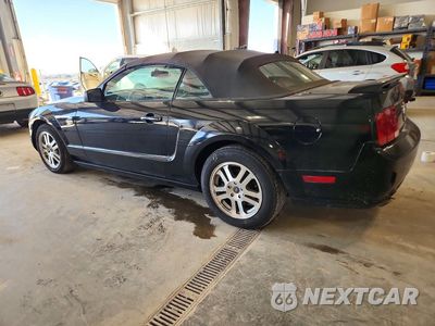 Drugie zdjęcie samochodu z przodu: 2005 FORD MUSTANG GT VIN:1ZVHT85H455226315 - miniatura