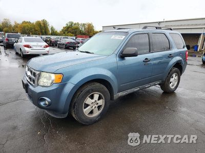 2011 FORD ESCAPE XLT 1FMCU9D79BKC58355 - główne zdjęcie licytacji z USA - miniatura