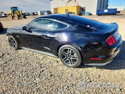 Drugie zdjęcie samochodu z przodu: 2020 FORD MUSTANG GT VIN:1FA6P8CF8L5154604 - miniatura
