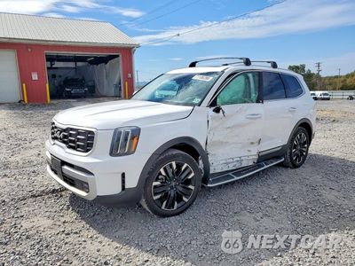 2024 KIA TELLURIDE SX-PRESTIGE 5XYP5DGC1RG464221 - główne zdjęcie licytacji z USA - miniatura