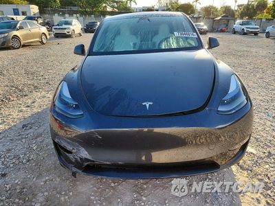 Piąte zdjęcie samochodu w środku: 2025 TESLA MODEL Y VIN:7SAYGDED3SF255105 - miniatura