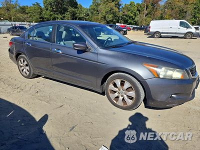Czwarte zdjęcie samochodu z boku: 2009 HONDA ACCORD EXL VIN:1HGCP36839A029024 - miniatura