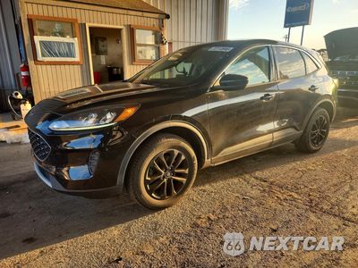 2020 FORD ESCAPE SE 1FMCU9G69LUC70496 - główne zdjęcie licytacji z USA - miniatura