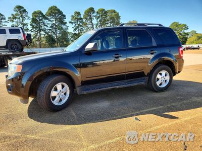 2011 FORD ESCAPE XLT 1FMCU0DG1BKA49297 - główne zdjęcie licytacji z USA - miniatura