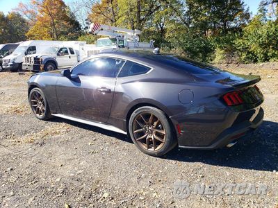 Drugie zdjęcie samochodu z przodu: 2024 FORD MUSTANG VIN:1FA6P8TH4R5117804 - miniatura