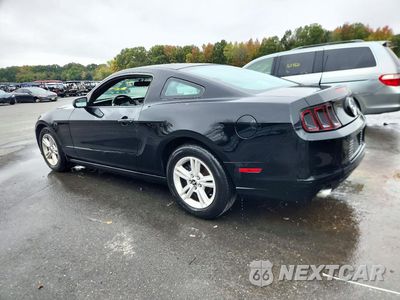 Drugie zdjęcie samochodu z przodu: 2014 FORD MUSTANG VIN:1ZVBP8AM1E5290065 - miniatura