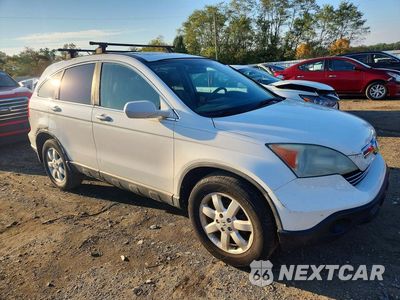 Czwarte zdjęcie samochodu z boku: 2008 HONDA CR-V EXL VIN:5J6RE48718L018173 - miniatura
