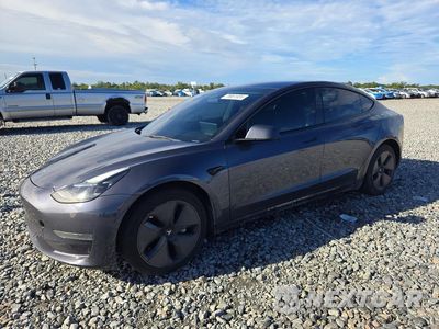 2023 TESLA MODEL 3 5YJ3E1EA9PF428845 - główne zdjęcie licytacji z USA - miniatura