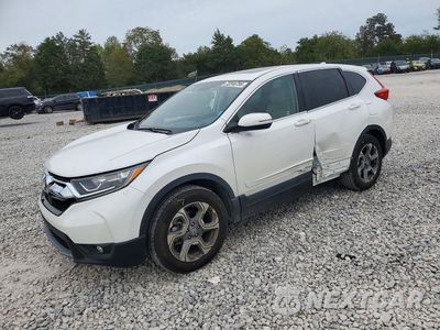 2019 HONDA CR-V EXL 5J6RW1H81KA008685 - główne zdjęcie licytacji z USA - miniatura